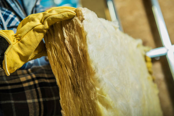 Best Commercial Insulation in Greenhills, OH