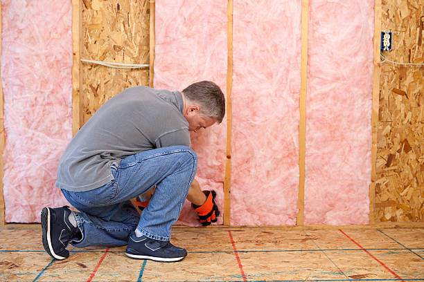 Best Insulation Maintenance and Repair in Greenhills, OH